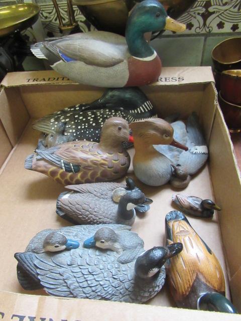 BOX OF DUCK MODELS Image