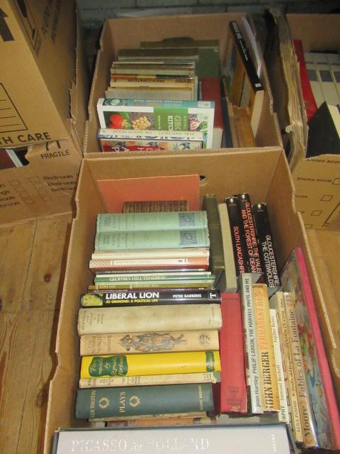 TWO BOXES OF BOOKS Image