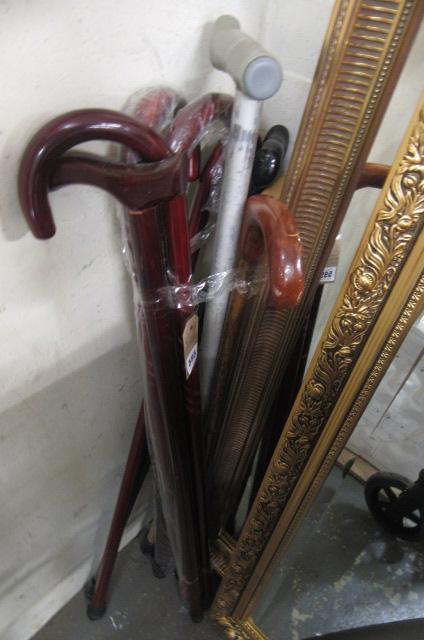 BUNDLE OF WALKING STICKS Image