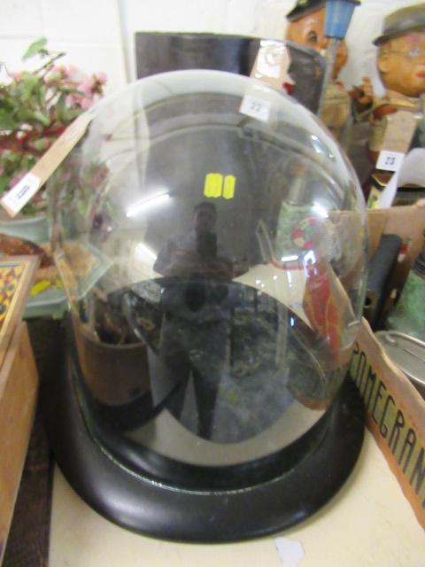 GLASS DISPLAY DOME Image
