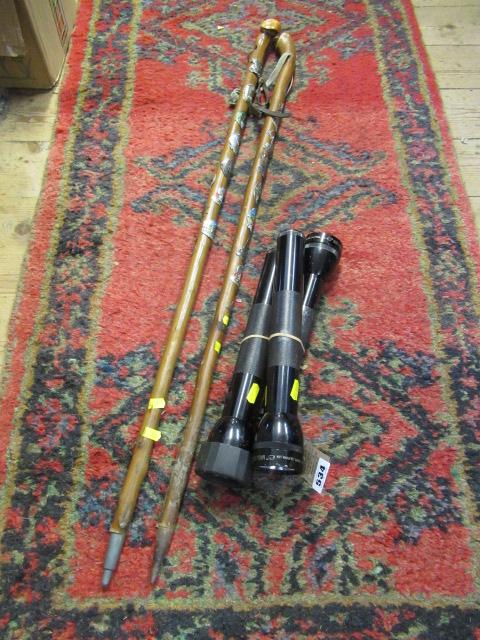 TWO WALKING STICKS AND THREE MAGLITE TORCHES Image
