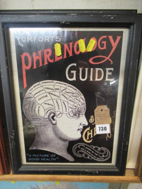 FRAMED PHRENOLOGY POSTER AND ANOTHER FRAMED POSTER Image
