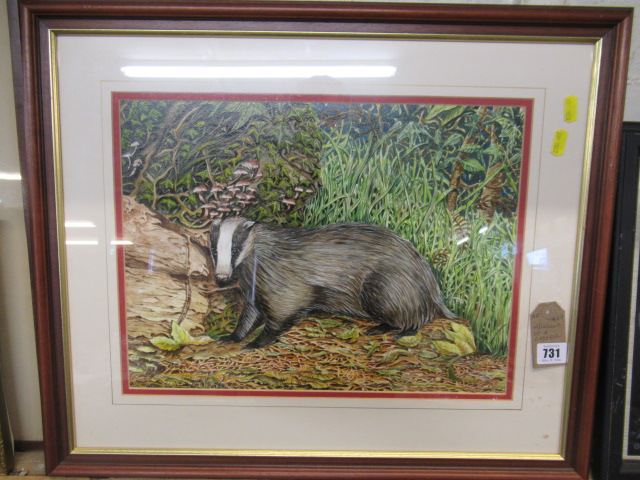 WATERCOLOUR OF A BADGER Image