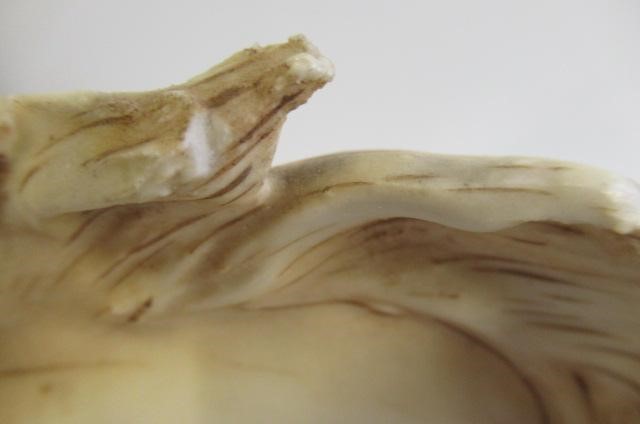 ROYAL DUX CHARIOT Image