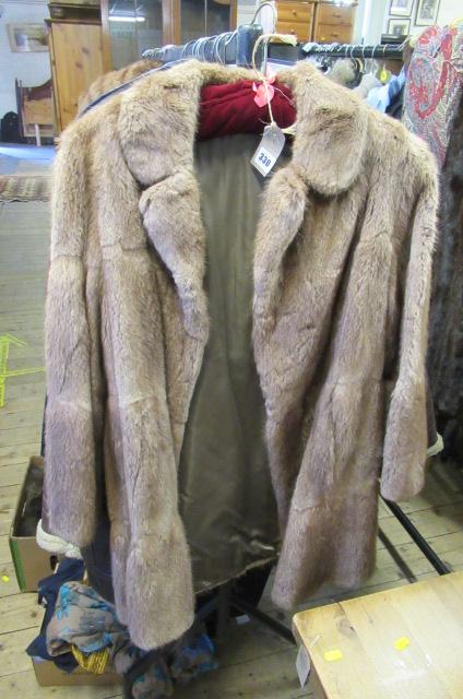 FUR COAT Image