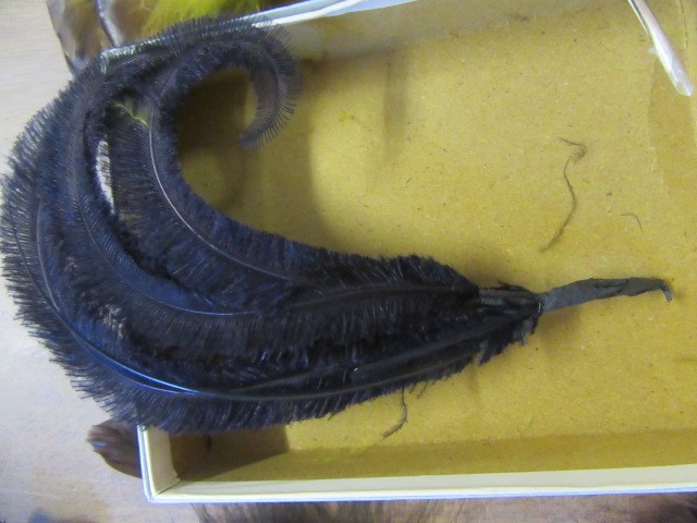 NINE FEATHER HAT TRIMS Image