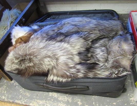 THREE FUR JACKETS AND A SUITCASE Image