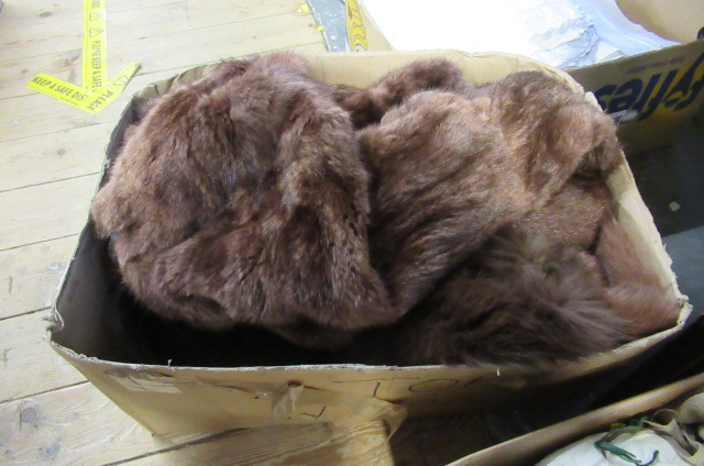 TWO FUR COATS ETC Image