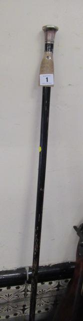 SILVER TOPPED CANE Image