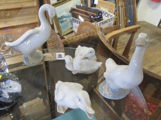 FOUR NAO DUCKS Image