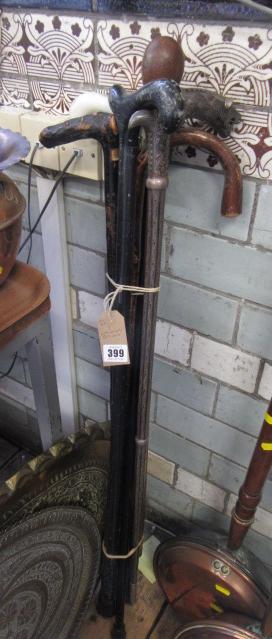 SEVEN WALKING STICKS Image