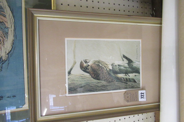 FREDERICK WATSON ARTIST PROOF OF A RAPTOR Image