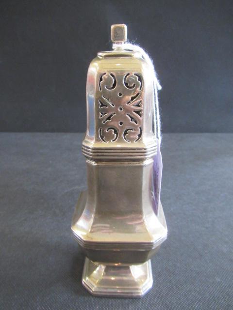 SILVER SUGAR CASTOR Image