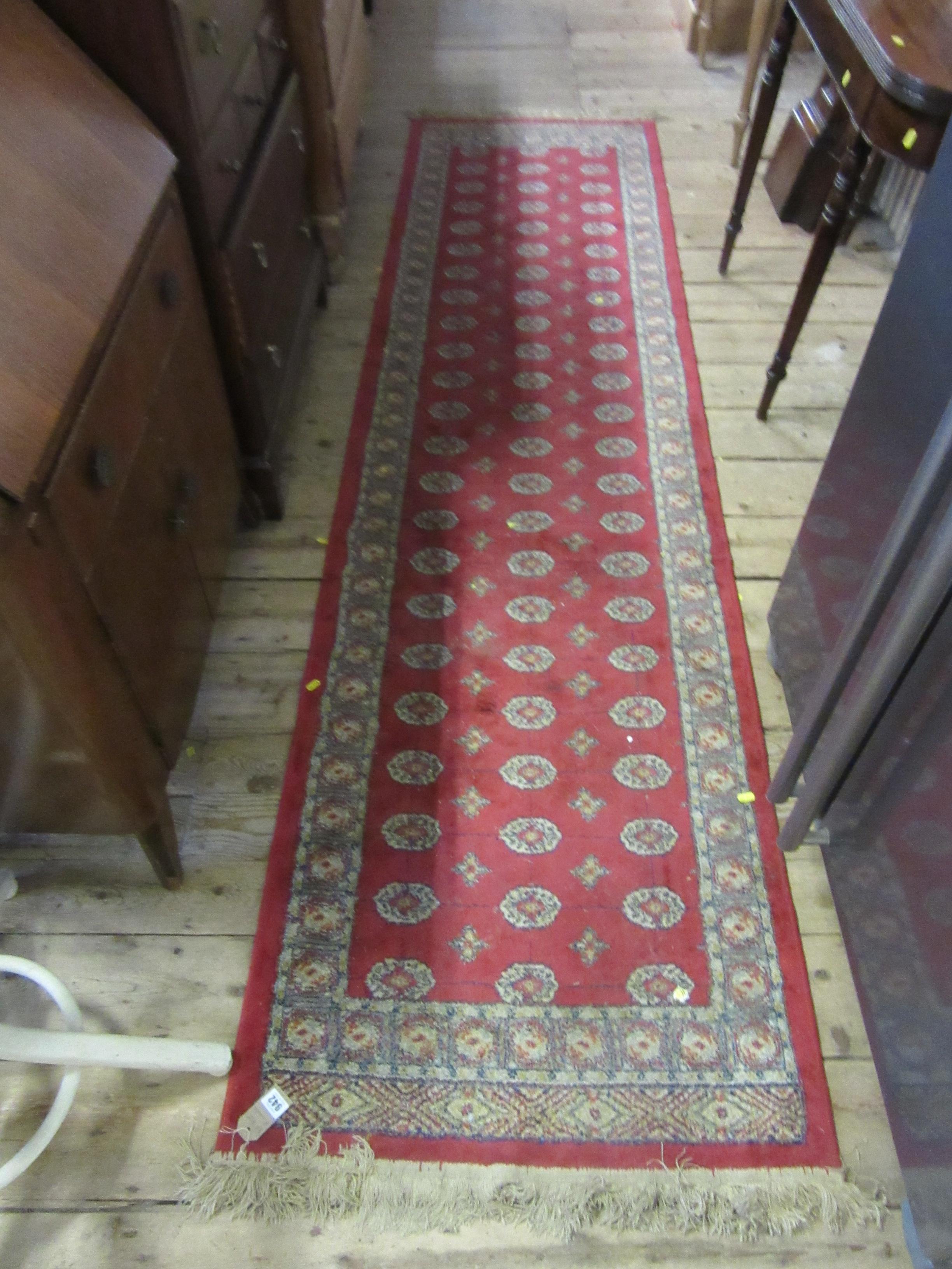RED FRINGED RUNNER Image