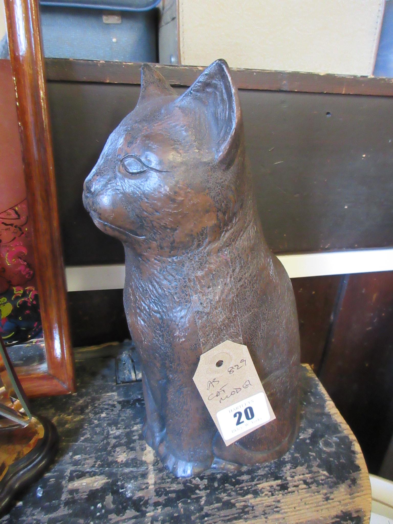 CAT MODEL Image