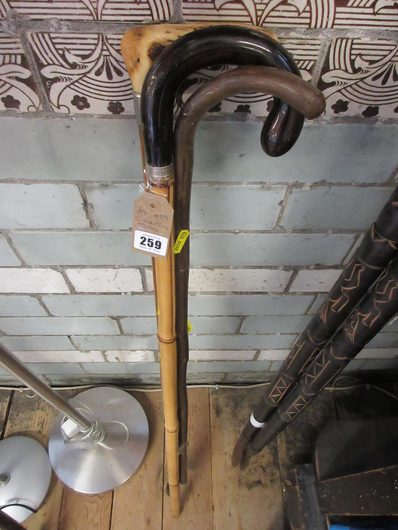 THREE WALKING STICKS Image