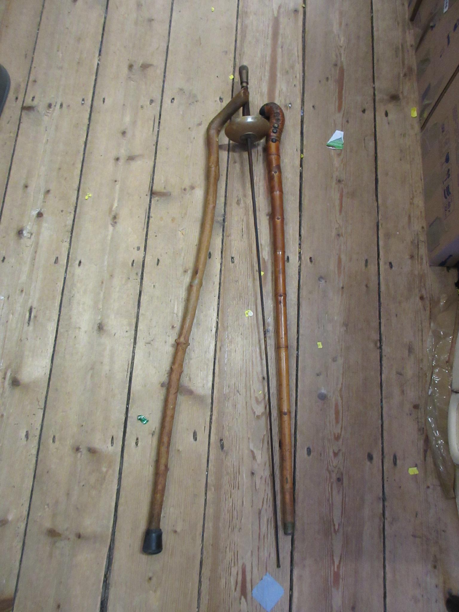 FENCING FOIL AND TWO WALKING STICKS Image