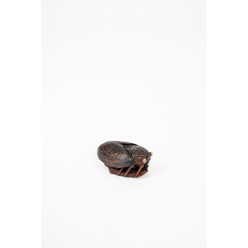 A large boxwood netsuke of a cicada by michael webb (1932-2009) dated ...