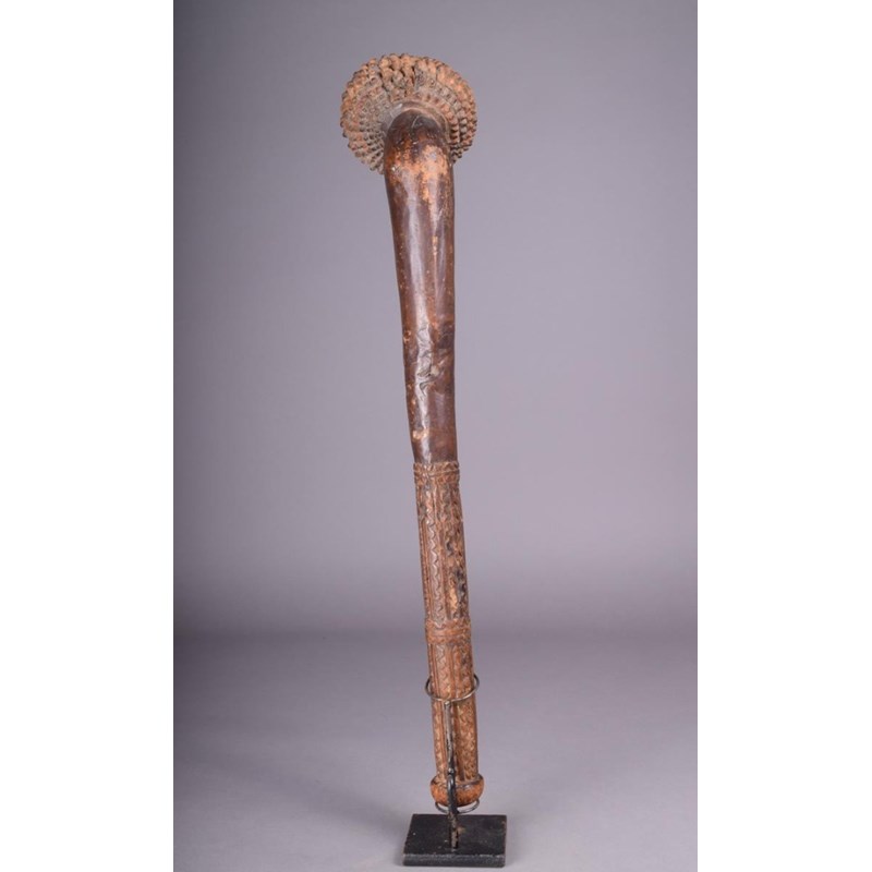 A fiji totokia | Woolley and Wallis